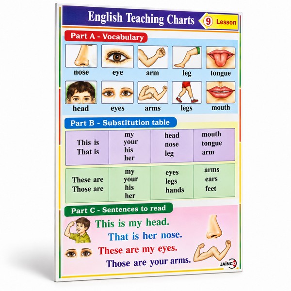 Parts of Body Chart